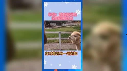 娱乐吃瓜的途径,跟随吃瓜群众，探寻明星幕后故事